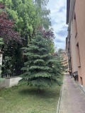 Продава 3-СТАЕН, гр. София, м-т Гърдова глава, снимка 9