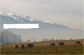 Продава ПАРЦЕЛ, с. Годлево, област Благоевград, снимка 2
