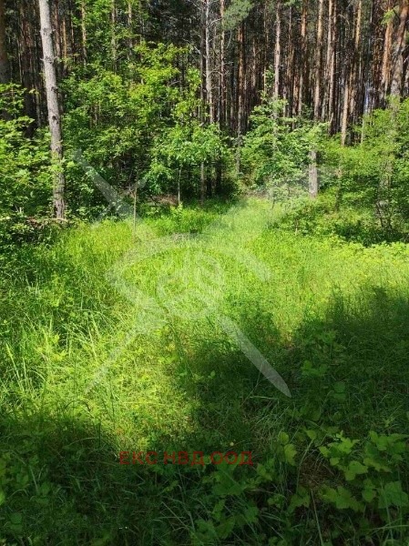 Продава ПАРЦЕЛ | Imot.bg — изображение 1