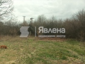 ������ ������� ������