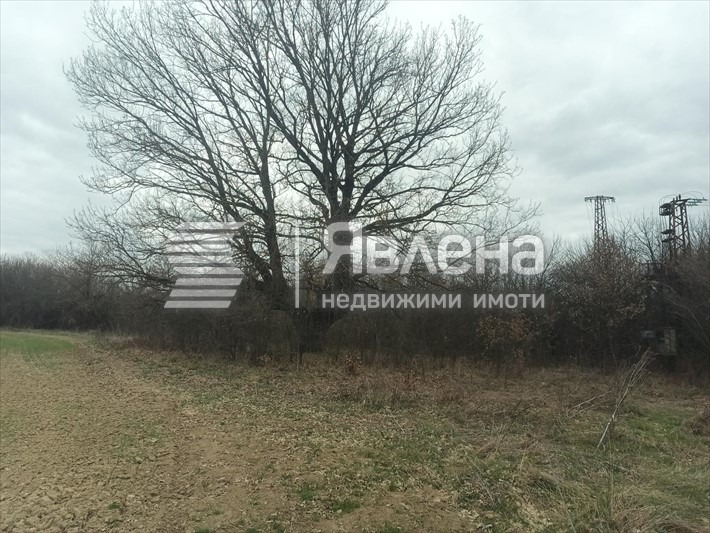 Продава ПАРЦЕЛ, с. Джурово, област София област, снимка 2 - Парцели - 55107529