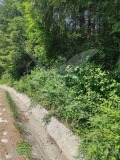Продава ПАРЦЕЛ, с. Гълъбово, област Пловдив, снимка 2
