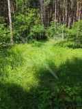 Продава ПАРЦЕЛ, с. Гълъбово, област Пловдив, снимка 1