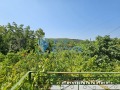 Продава КЪЩА, област Велико Търново, с. Димча • 17350 € • 25739344 — Holmes.bg