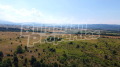 Продава ПАРЦЕЛ, гр. Долна баня, област София област, снимка 13