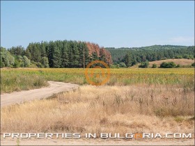 ������� ������ | Imot.bg � ����� ������ 12