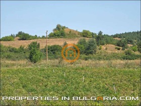 ������� ������ | Imot.bg � ����� ������ 10