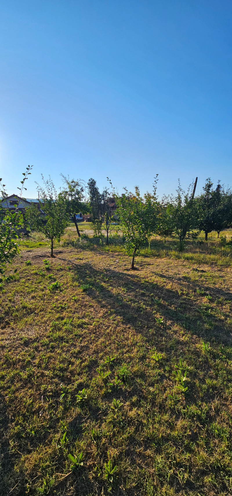 Продава ПРОМ. ПОМЕЩЕНИЕ, гр. Радомир, област Перник, снимка 8 - Производствени сгради - 52283896