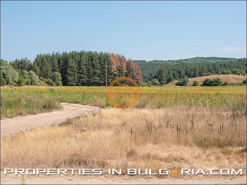 Продава ПАРЦЕЛ, с. Алино, област София област, снимка 12 - Парцели - 55778577