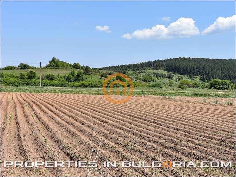 Продава ПАРЦЕЛ, с. Алино, област София област, снимка 9 - Парцели - 55778577