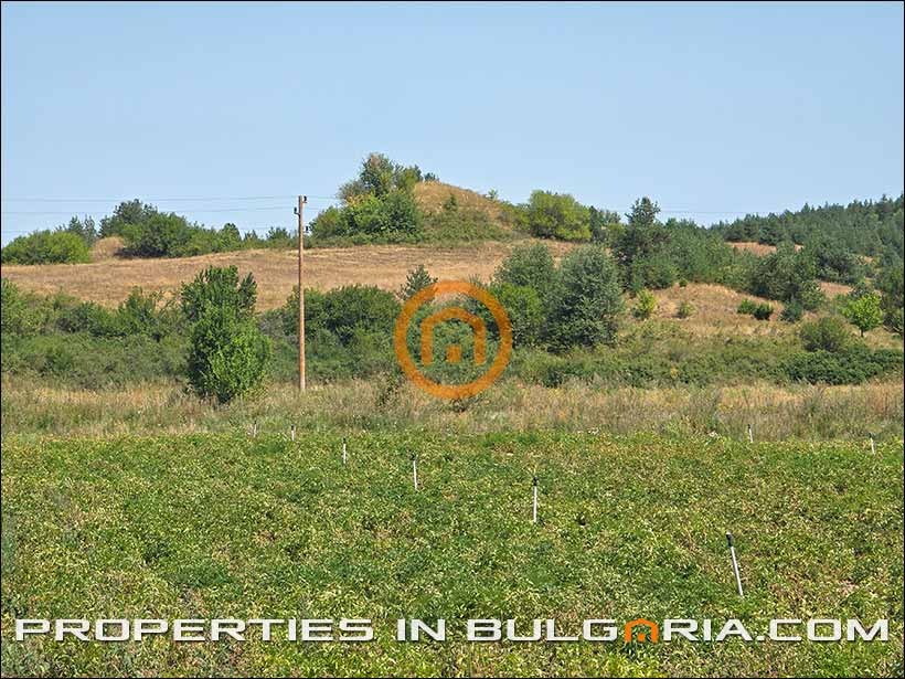 Продава ПАРЦЕЛ, с. Алино, област София област, снимка 10 - Парцели - 55778577