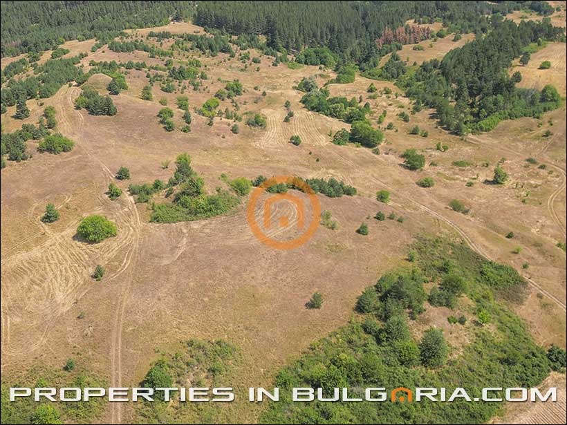 Продава ПАРЦЕЛ, с. Алино, област София област, снимка 7 - Парцели - 55778577