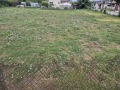 Продава ПАРЦЕЛ, с. Куманово, област Варна, снимка 2