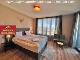 Studio Bansko, region Blagoevgrad 3