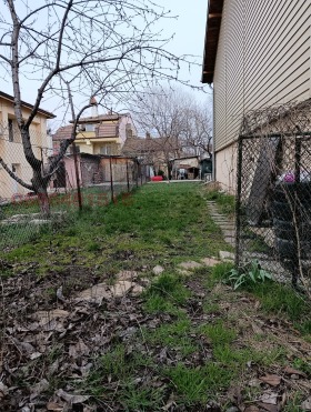 ����� ������� ����,���� �����, �����������