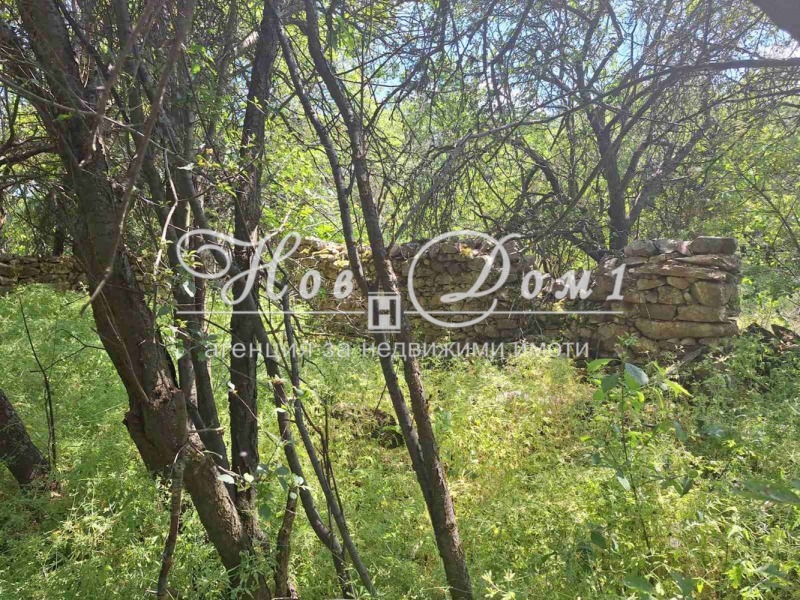 En venta  Trama región Sofia , Ponor , 550 metros cuadrados | 42270029 - imagen [7]