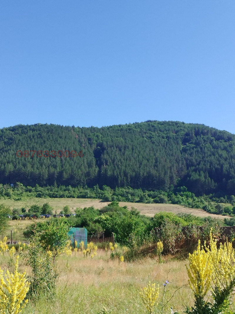 Na prodej  Spiknutí Sofia , Dolni Pasarel , 2700 m2 | 14770221 - obraz [5]