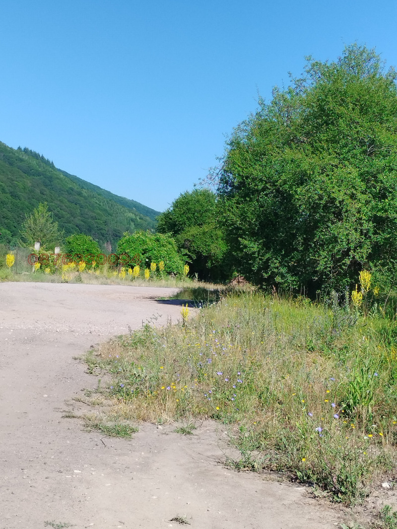 Na prodej  Spiknutí Sofia , Dolni Pasarel , 2700 m2 | 14770221