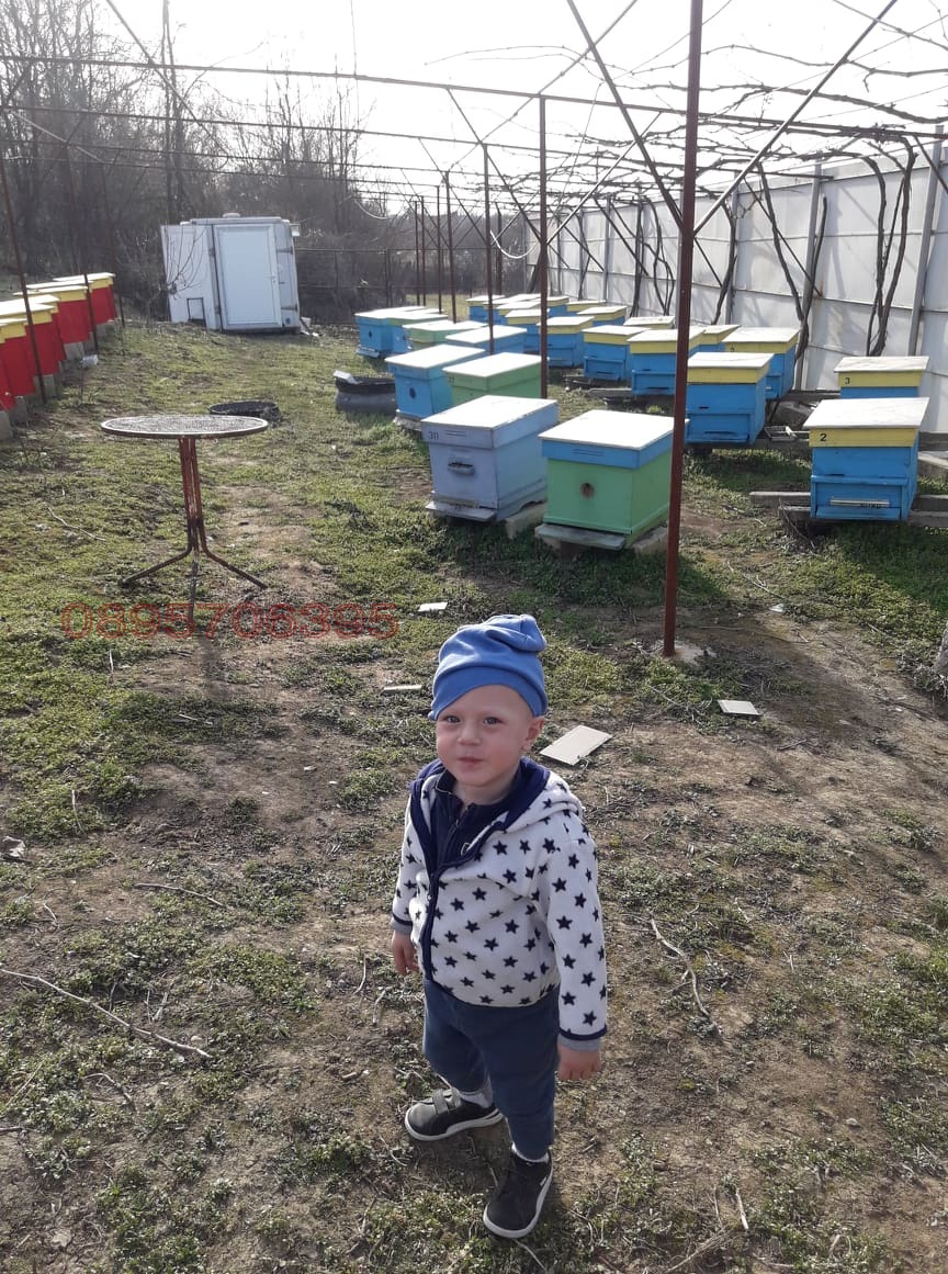 Продава КЪЩА, гр. Тутракан, област Силистра, снимка 2 - Къщи - 55098768