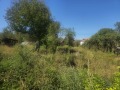 Продава ПАРЦЕЛ, област Велико Търново, с. Къпиново • 32000 € • 44976051 3