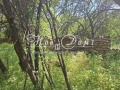 Продава ПАРЦЕЛ, област София, с. Понор • 39990 € / 78213.64 лв. • 59099444 7
