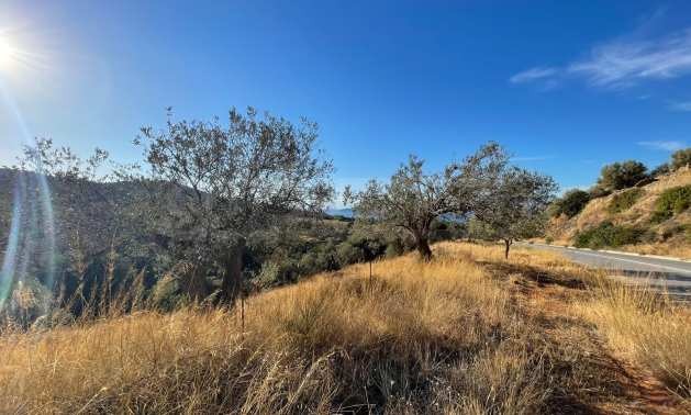 Продава ПАРЦЕЛ | Imot.bg — изображение 4