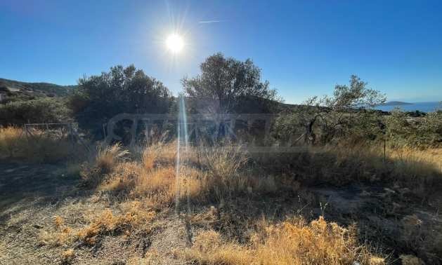 Продава ПАРЦЕЛ | Imot.bg — изображение 1