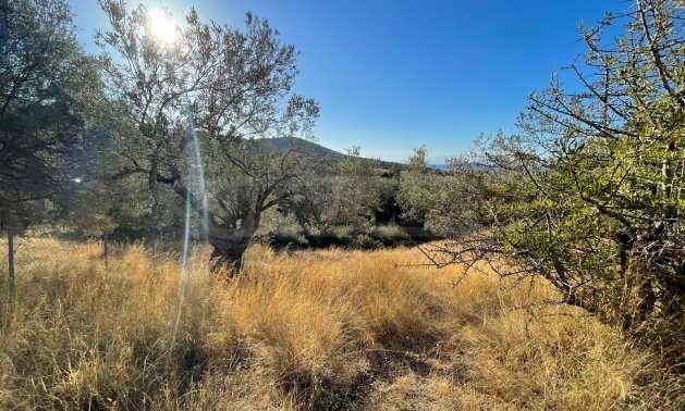 Продава ПАРЦЕЛ | Imot.bg — изображение 2