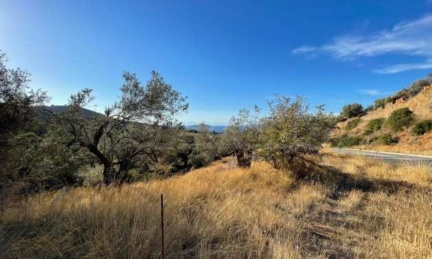 Продава ПАРЦЕЛ | Imot.bg — изображение 3