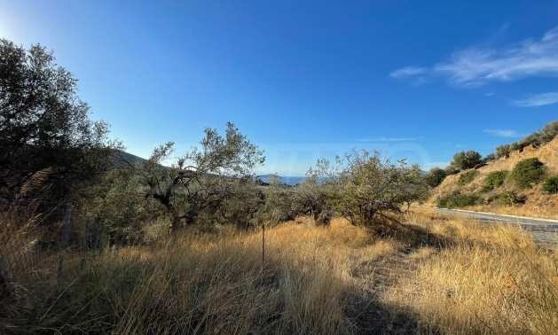 Продава ПАРЦЕЛ | Imot.bg — изображение 5