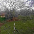 Продава ПАРЦЕЛ, област Варна, с. Шкорпиловци • 50000 € • 37303824 — Holmes.bg