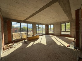 ����� ������� ����,���� �������, ����������