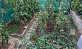 ������� ���� | Imot.bg � ����� ������ 5