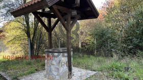 ����� ������� ����,�. ����� ������, ������ ������