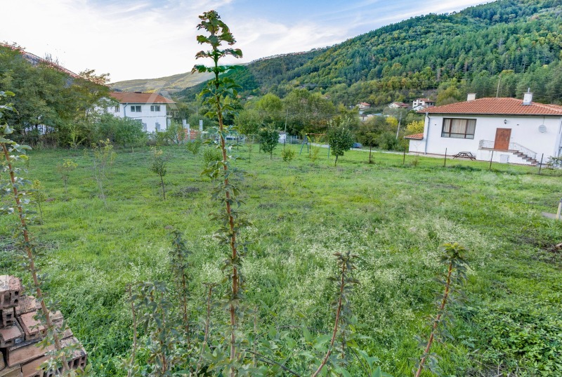 Zu verkaufen  Handlung region Sofia , Swoge , 740 qm | 71800507 - Bild [7]