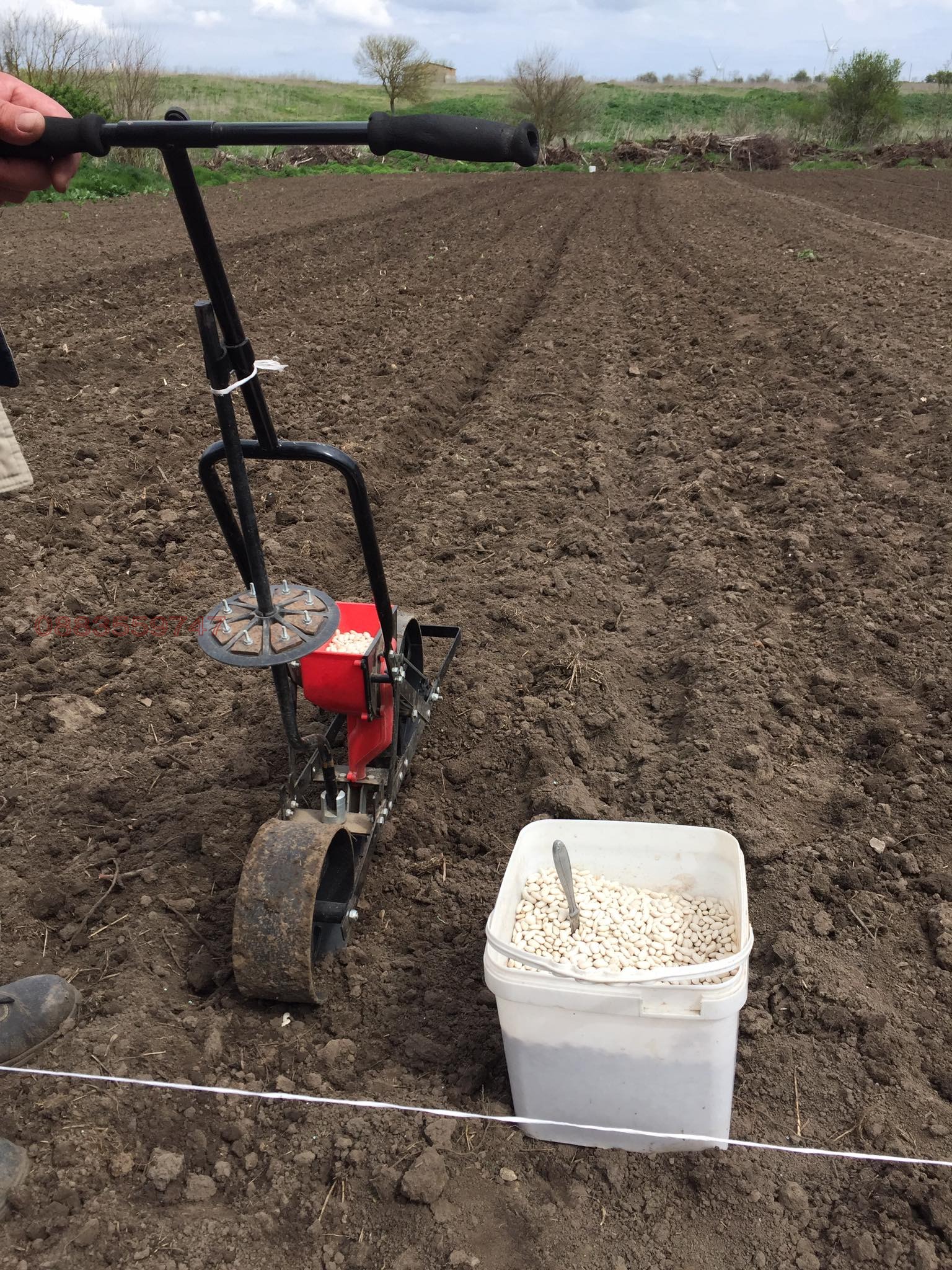 Продава ПАРЦЕЛ, с. Кардам, област Добрич, снимка 3 - Парцели - 54169368