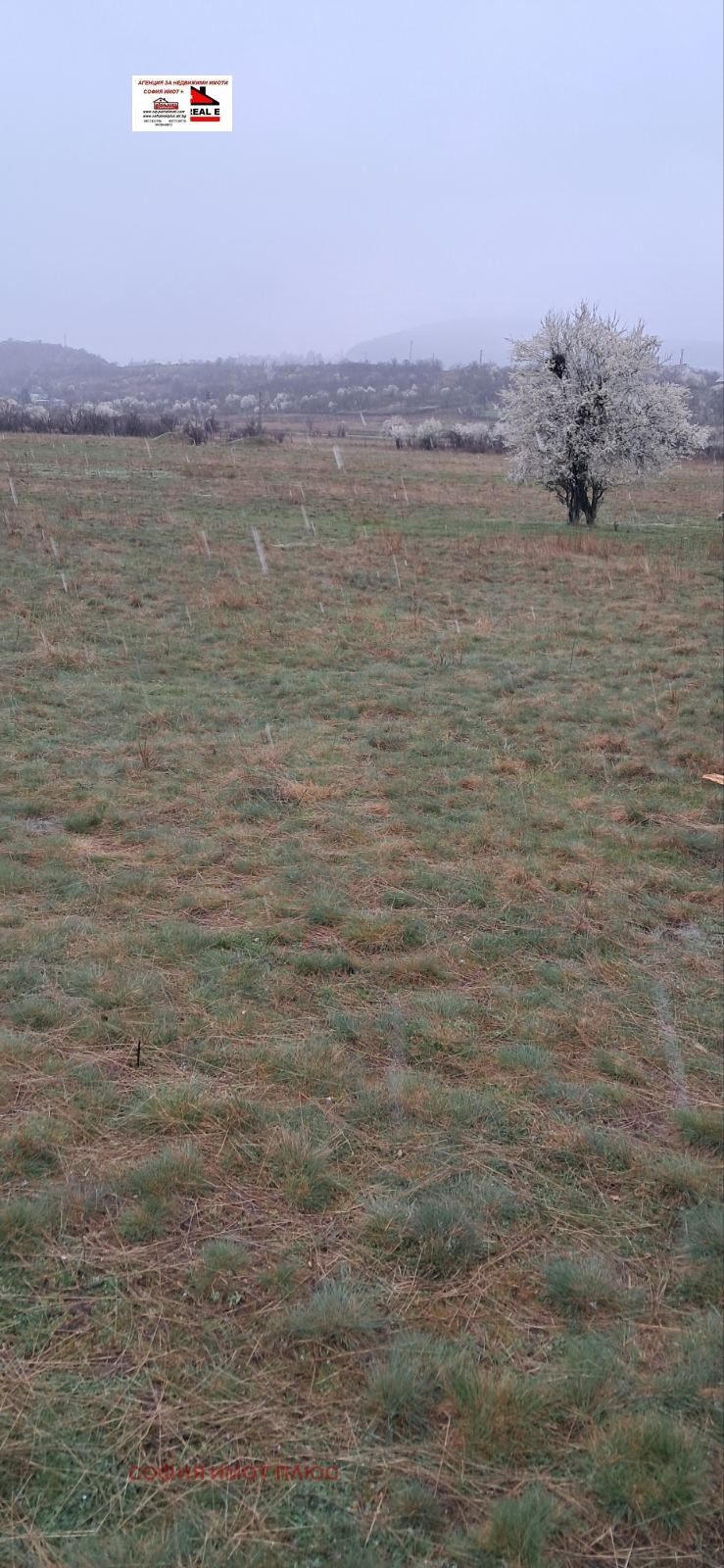 ������� ������ | Imot.bg � ����������� 4