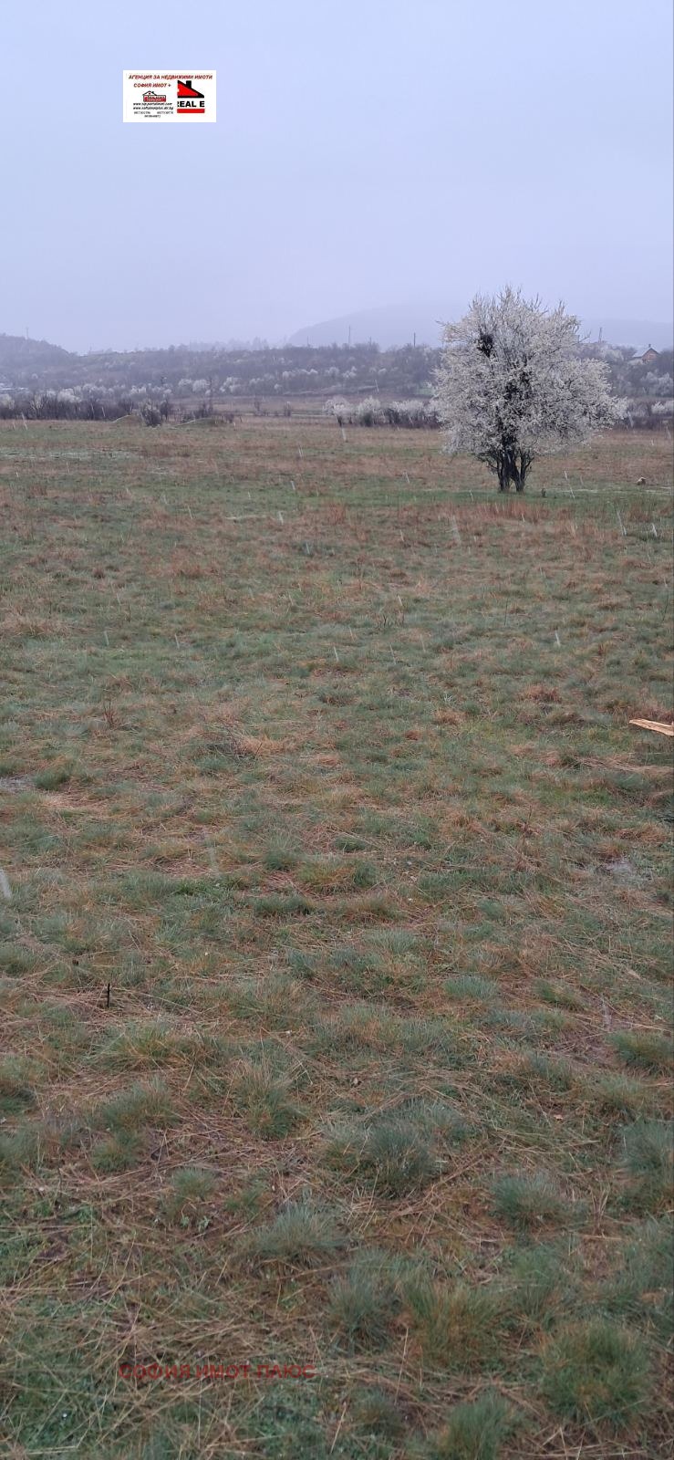 ������� ������ | Imot.bg � ����������� 5