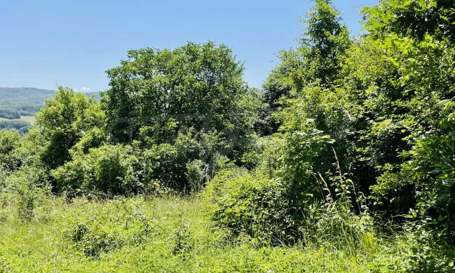 Продава ПАРЦЕЛ | Imot.bg — изображение 4