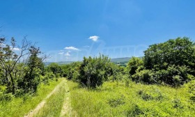 Trama Kozi rog, región de Gabrovo 1