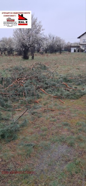 ������� ������ | Imot.bg � ����� ������ 6