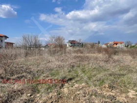 ����� ������� ������,���� �������, ����������