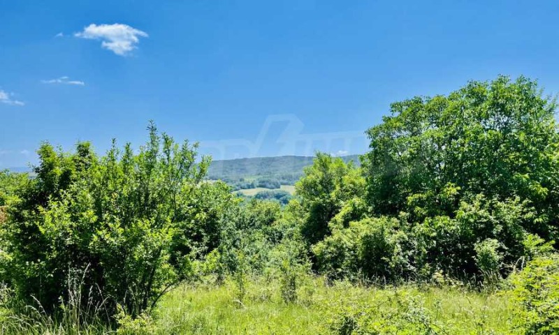 À vendre  Parcelle région de Gabrovo , Kozi rog , 690 m² | 75722702 - image [3]