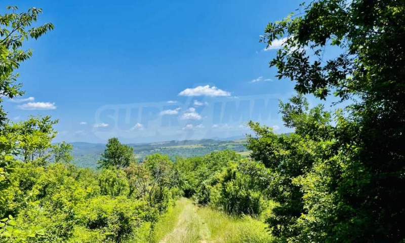 À vendre  Parcelle région de Gabrovo , Kozi rog , 690 m² | 75722702 - image [6]