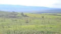 Продава ЗЕМЕДЕЛСКА ЗЕМЯ, с. Горна Василица, област София област, снимка 6
