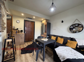 Studio Bansko, region Blagoewgrad 11