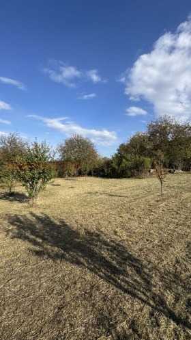 ������� ������ | Imot.bg � ����� ������ 10