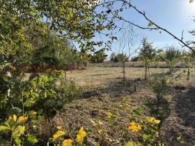 ������� ������ | Imot.bg � ����� ������ 5