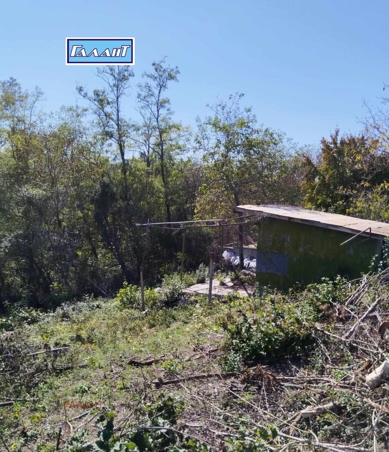 Продава ПАРЦЕЛ, с. Орешак, област Варна, снимка 2 - Парцели - 52128863