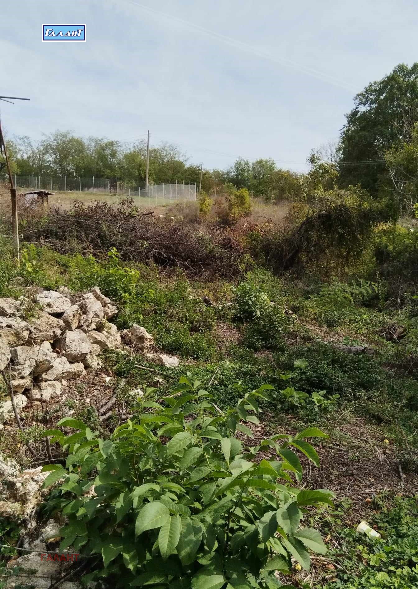 Продава ПАРЦЕЛ, с. Орешак, област Варна, снимка 2 - Парцели - 52128863